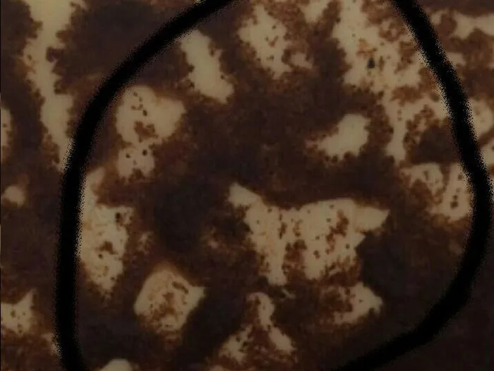 Консультация гадалки в Торжоке онлайн